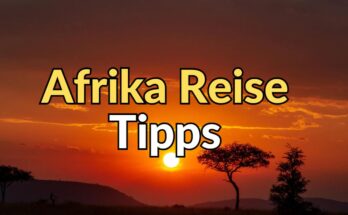 Afrika Reise Natur Sonnenuntergang