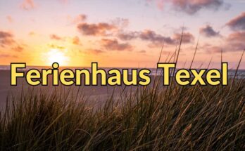 Ferienhaus Texel